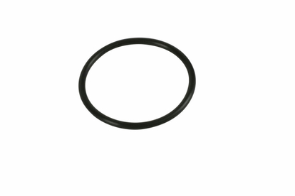 INTEX 13099 O kroužek na patronu s titanovou elektrodou